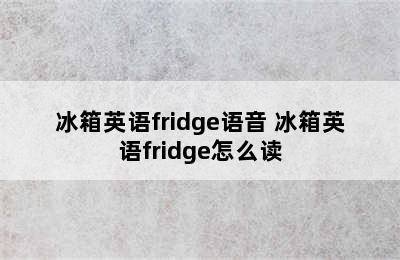 冰箱英语fridge语音 冰箱英语fridge怎么读